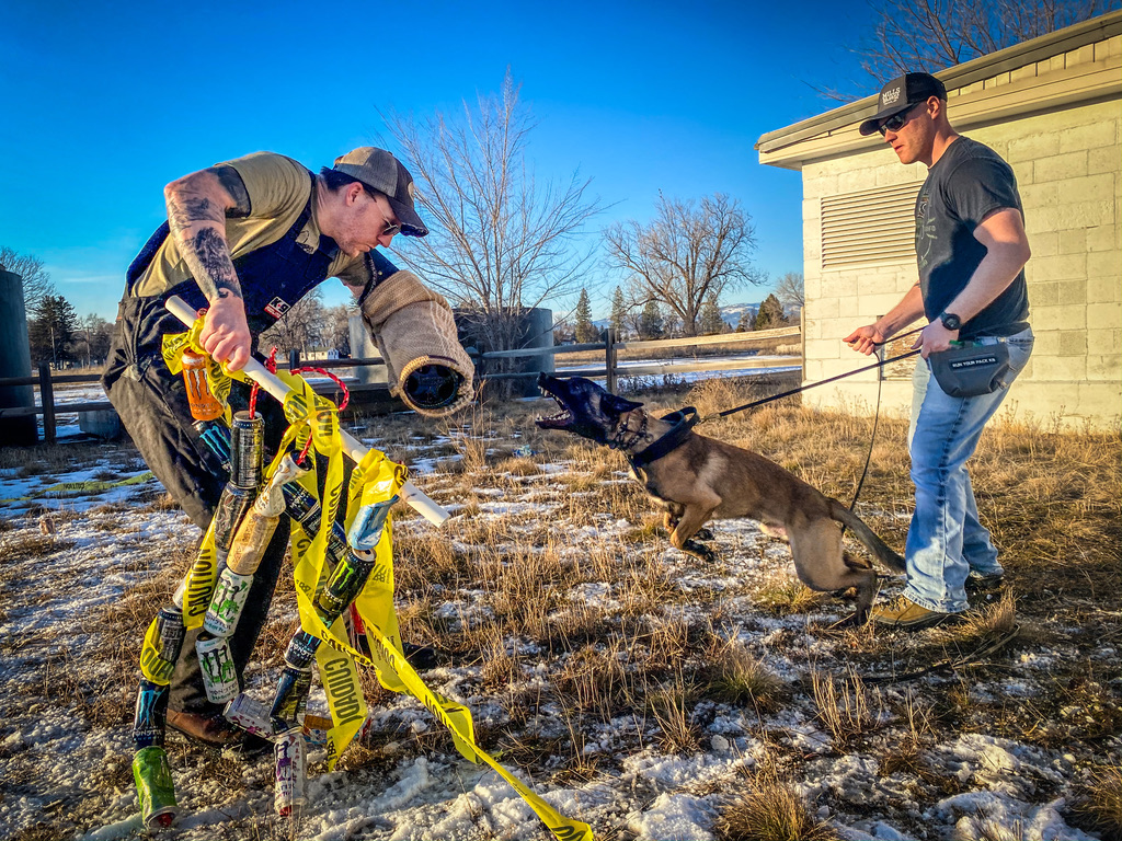 Handlers training protection work in the field
