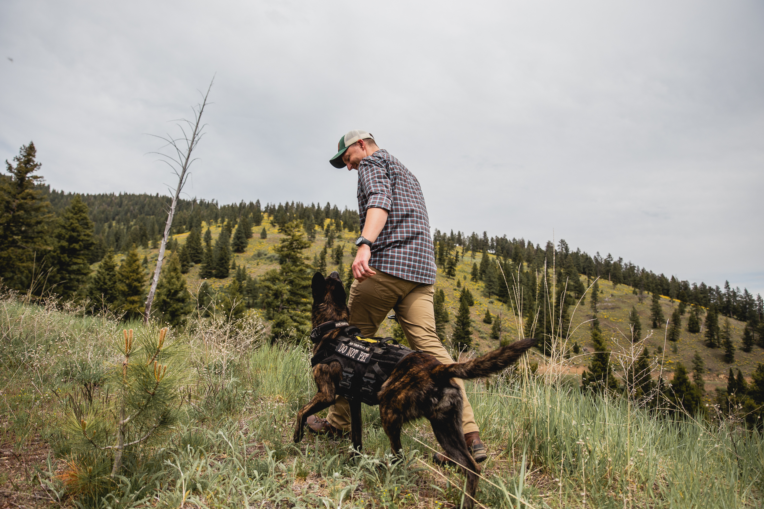 Handler training with dog in mountain terrain